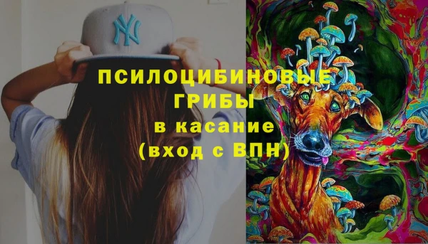 герыч Вяземский