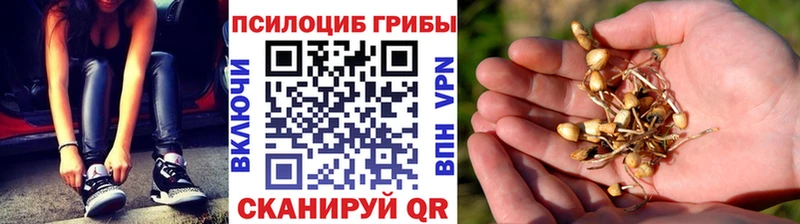 Галлюциногенные грибы прущие грибы  гидра онион  Комсомольск-на-Амуре 